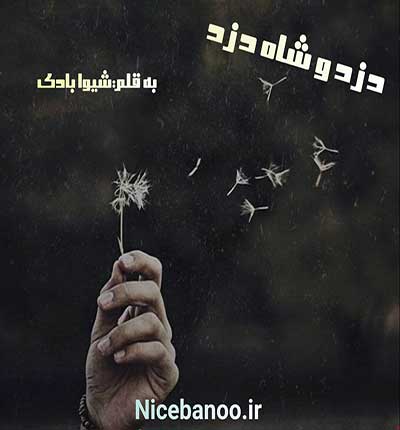 دانلود رمان دزد و شاه دزد دانلود رمان دزد و شاه دزد