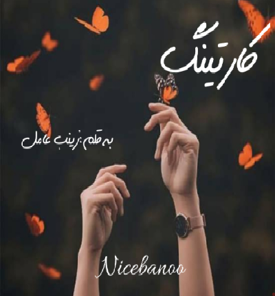 دانلود رمان کارتینگ از زینب عامل