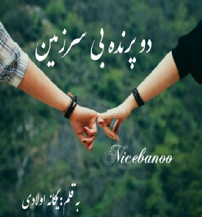 دانلود رمان دو پرنده بی سرزمين از یگانه اولادی