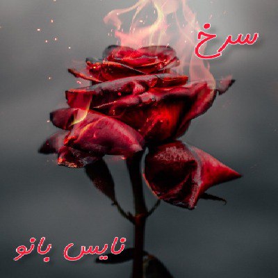 دانلود رمان سرخ (گلگون) از رعنا و پرستو س