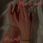 شبی در پروجا