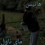 هانیس