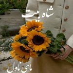 شاه بیت
