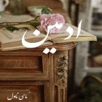 دانلود رمان ادمین از محبوبه فیروزخانی با لینک مستقیم