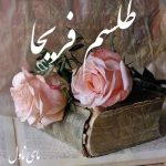 دانلود رمان طلسم فریحا از گندم تقی زاده با لینک مستقیم