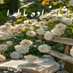 دانلود رمان شاهزاده یا گدا از زهرا با لینک مستقیم