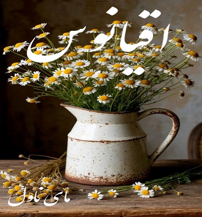 اقیانوس