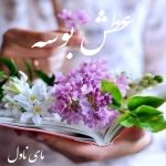 دانلود رمان عطش بوسه از فاطمه خمیسی با لینک مستقیم