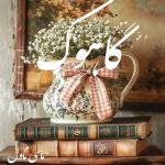 دانلود رمان گاهوک از سایه با لینک مستقیم
