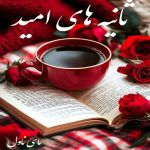 دانلود رمان ثانیه های امید از زینب با لینک مستقیم