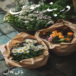 دانلود رمان در بند هوس از مریم پیروند با لینک مستقیم