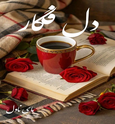 دل فگار