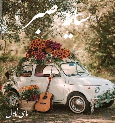 سایه صبر