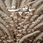 دانلود رمان سایکوپت از مینا عباسی با لینک مستقیم