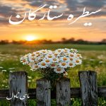 دانلود رمان سیطره ستارگان از فاطمه حداد با لینک مستقیم