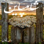 دانلود رمان شامپاین از مرجان جانی با لینک مستقیم
