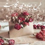 دانلود رمان طرح جادوی نگاهت از فاطمه مهراد با لینک مستقیم