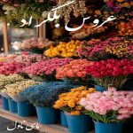 دانلود رمان عروس بلگراد از اکرم حسین زاده (امیدوار) با لینک مستقیم