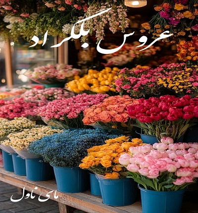 عروس بلگراد