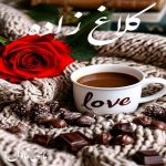 دانلود رمان کلاغ زاده از نوشین سلمانوندی با لینک مستقیم