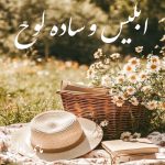 دانلود رمان ابلیس ساده لوح از نفس س با لینک مستقیم