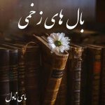 دانلود رمان بال های زخمی از حانیه باصری با لینک مستقیم
