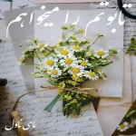 دانلود رمان تابوتم را میخواهم از دینا خالص با لینک مستقیم