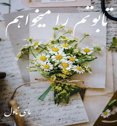 تابوتم را میخواهم 