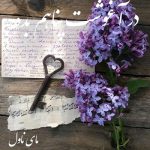 دانلود رمان در آغوشت پناهم بده از سارا فرد با لینک مستقیم