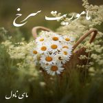 دانلود رمان ماموریت سرخ از الهام مشایری اشتیانی با لینک مستقیم