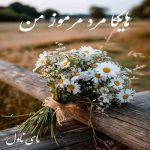 دانلود رمان هایکا مرد مرموز من از الناز بوذر جمهری با لینک مستقیم