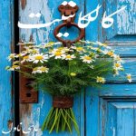 دانلود رمان کالکانتیت از فائزه رخشانی با لینک مستقیم