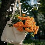 دانلود رمان آخرین آواتار از پانیذ الف با لینک مستقیم