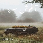 دانلود رمان آغوش سرد از زهره روحانی با لینک مستقیم