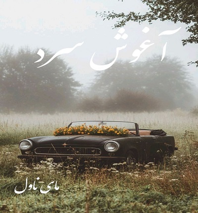 آغوش سرد