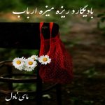 دانلود رمان بادیگارد ریزه میزه ارباب از نسترن قره داغی با لینک مستقیم