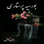 دانلود رمان بورسیه پرستاری از هانیه دانیال با لینک مستقیم