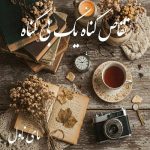 دانلود رمان تقاص گناه یک بی گناه از رقیه حیدری با لینک مستقیم