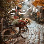 دانلود رمان دامن گیر از هانیه وطن خواه با لینک مستقیم