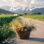 دانلود رمان ستاره سیاه از پانیذ الف با لینک مستقیم