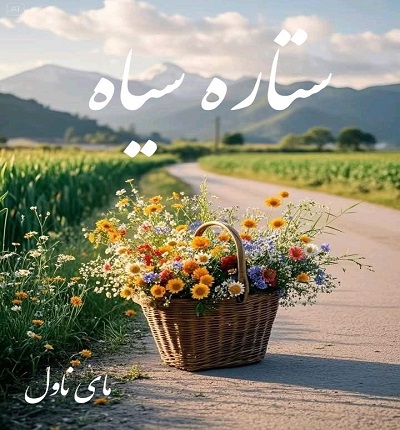 ستاره سیاه