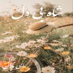 دانلود رمان شاه بی دل از پروانه قدیمی با لینک مستقیم