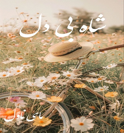 شاه بی دل