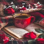 دانلود رمان عشق بی قید و شرط از جسیکا برد با لینک مستقیم