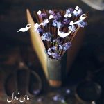 دانلود رمان عشق ممنوعه از شهره احیایی با لینک مستقیم