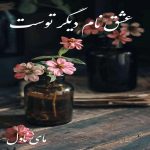 دانلود رمان عشق نام دیگر توست از زهرا علیزاده با لینک مستقیم