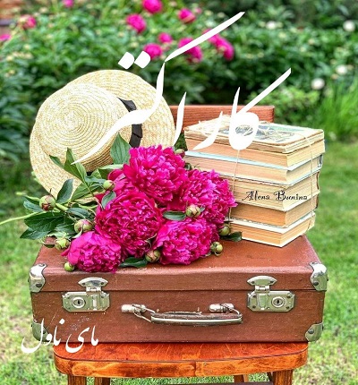 کاراکتر