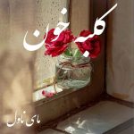 دانلود رمان کلبه خون از نیمان خ با لینک مستقیم