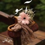 دانلود رمان آسو از نسرین سیفی با لینک مستقیم