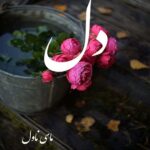 دانلود رمان دل از سارا بانو با لینک مستقیم